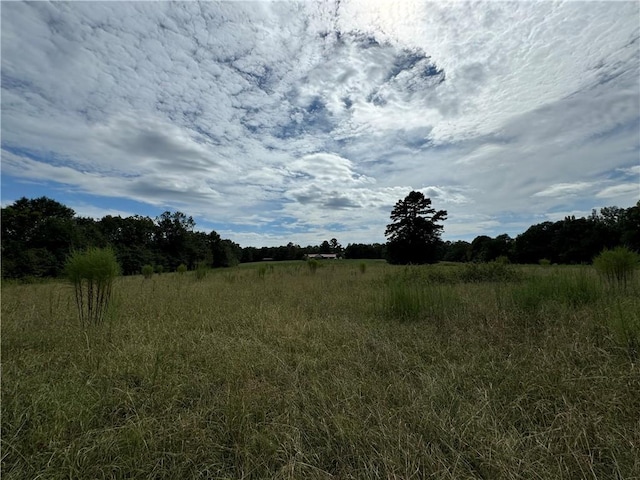 view of local wilderness featuring a rural view