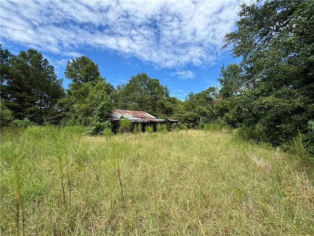 view of local wilderness