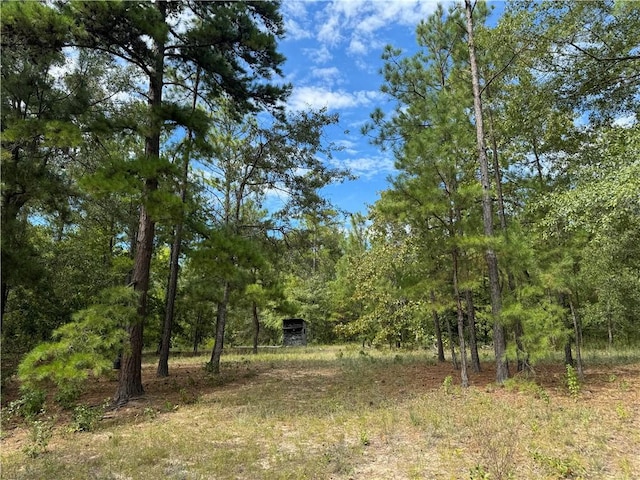 view of landscape