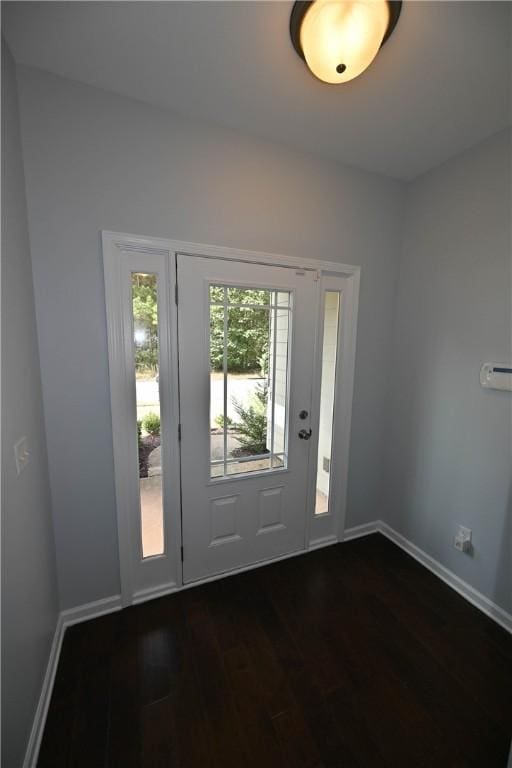 foyer entrance with dark hardwood / wood-style flooring