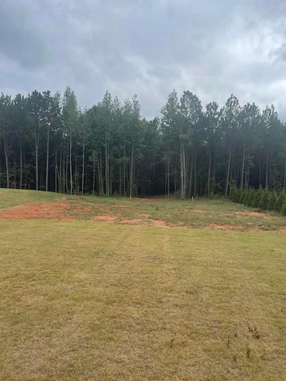 LOT2A-1 Lee Road 155, Salem AL, 36874 land for sale