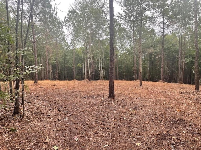 Listing photo 3 for LOT2A-1 Lee Road 155, Salem AL 36874