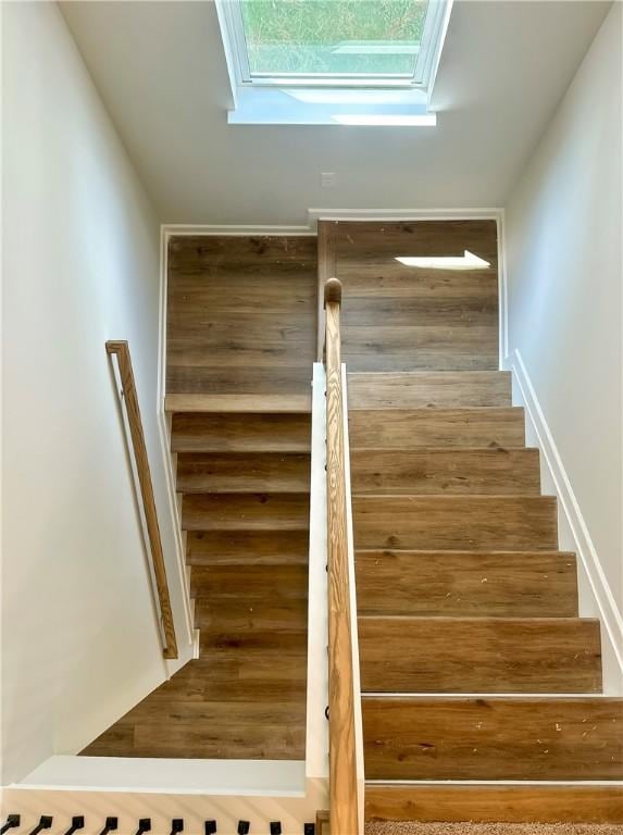 2260 Red Tail Ln, Auburn, AL 36879 - stairway featuring a skylight