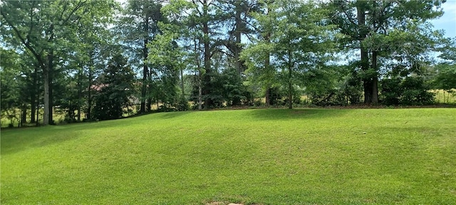2104 Oak Bowery Rd, Opelika, AL 36801 - view of green lawn