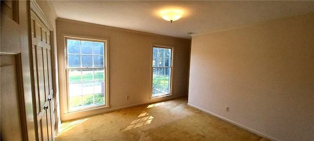 2104 Oak Bowery Rd, Opelika, AL 36801 - photo 24