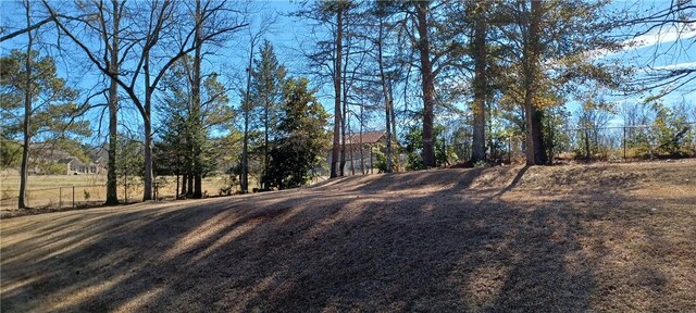 2104 Oak Bowery Rd, Opelika, AL 36801 - view of yard with fence