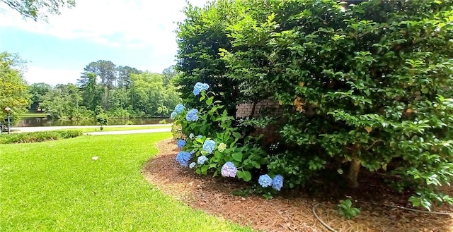 2104 Oak Bowery Rd, Opelika, AL 36801 - view of grassy yard