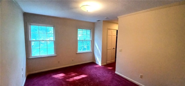 2104 Oak Bowery Rd, Opelika, AL 36801 - empty room with carpet and ornamental molding
