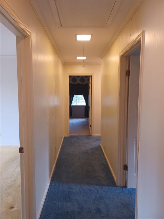 2104 Oak Bowery Rd, Opelika, AL 36801 - corridor with carpet flooring, attic access, ornamental molding, and baseboards
