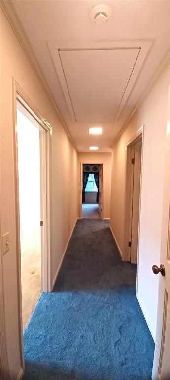 2104 Oak Bowery Rd, Opelika, AL 36801 - corridor featuring attic access, carpet, and ornamental molding