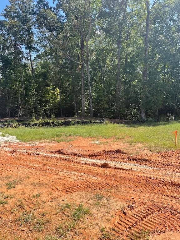 125 Merlin St, Opelika AL, 36801 land for sale