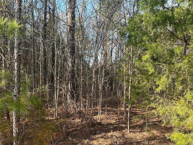 Listing photo 2 for 0 Lee Road 240, Salem AL 36874