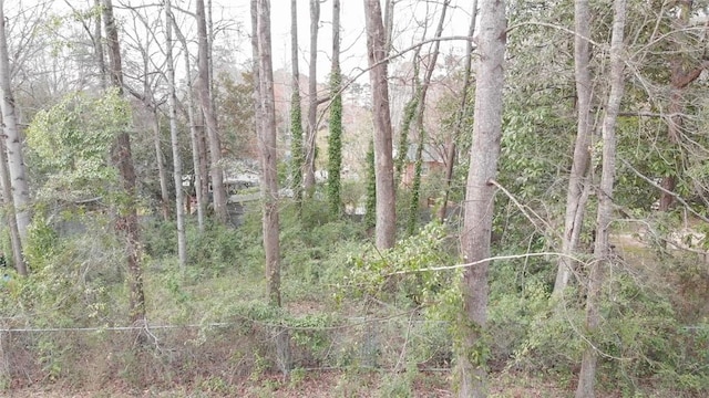 902 Lakeshore Ave, Opelika, AL 36801