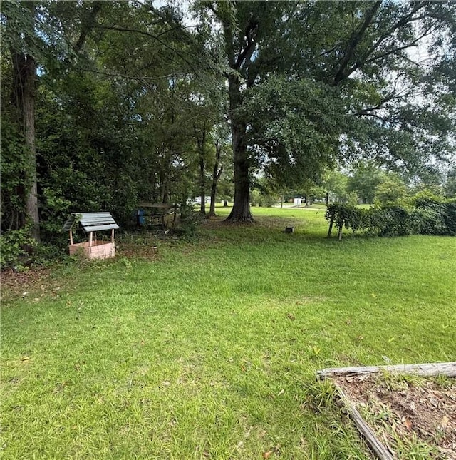 133 Bridges St, Notasulga, AL 36866 - view of green lawn
