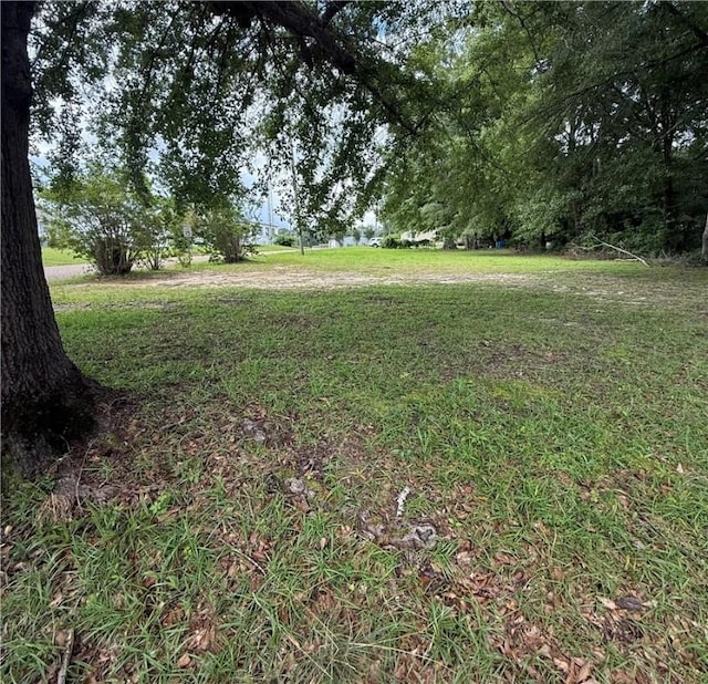 133 Bridges St, Notasulga, AL 36866 - view of green lawn
