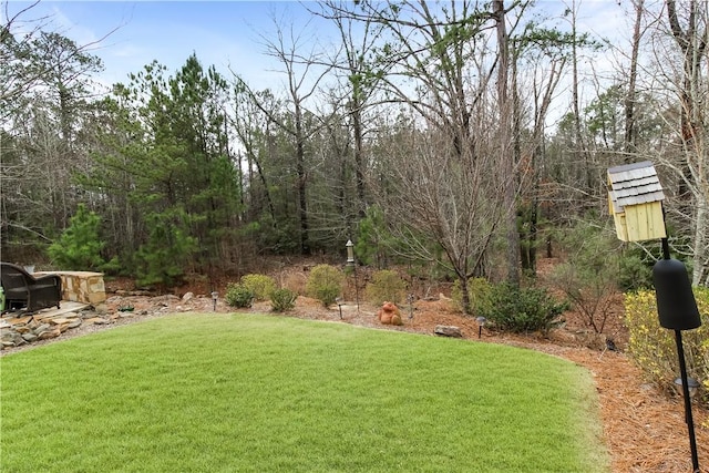 3403 Double Eagle Ln, Opelika, AL 36801 - view of grassy yard