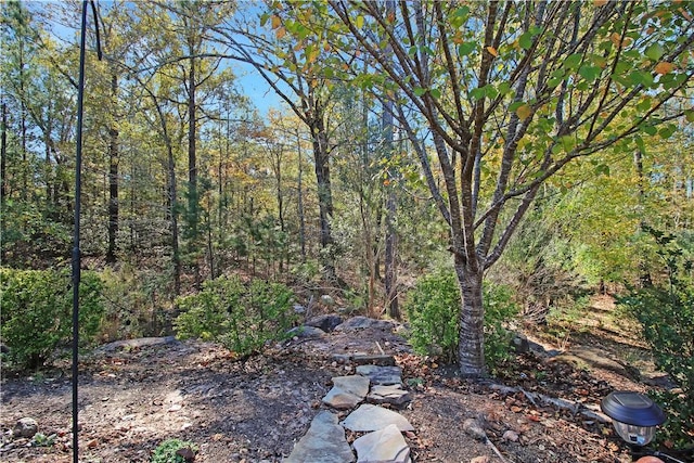 3403 Double Eagle Ln, Opelika, AL 36801 - view of yard featuring a forest view