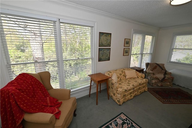 sitting room featuring crown molding, carpet floors, and a textured ceiling