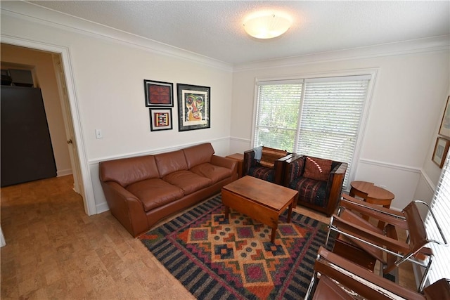 living area featuring ornamental molding and a textured ceiling