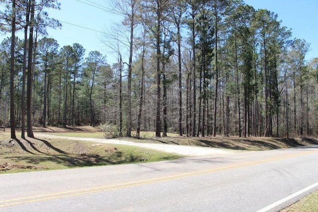 3900 Oak Bowery Rd, Opelika, AL 36801