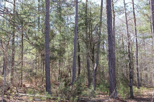 3900 Oak Bowery Rd, Opelika, AL 36801