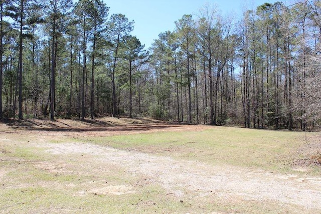 3900 Oak Bowery Rd, Opelika, AL 36801