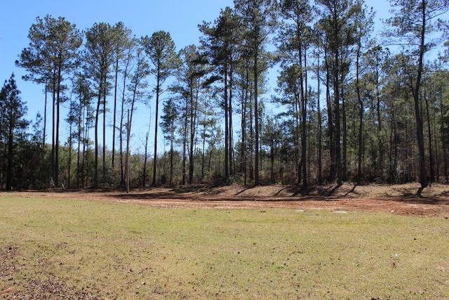 3900 Oak Bowery Rd, Opelika, AL 36801
