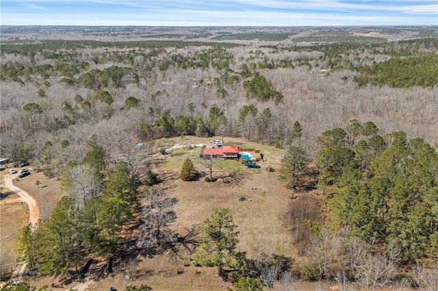 bird's eye view with a forest view