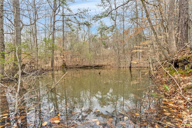 water view with a view of trees