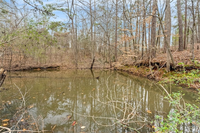 view of water feature with a forest view