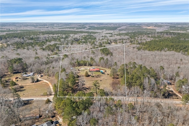 aerial view with a forest view