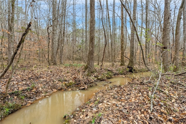 view of nature featuring a view of trees