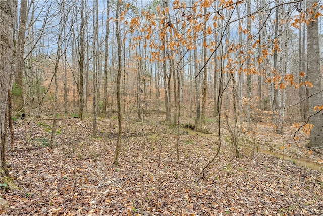 view of nature with a forest view