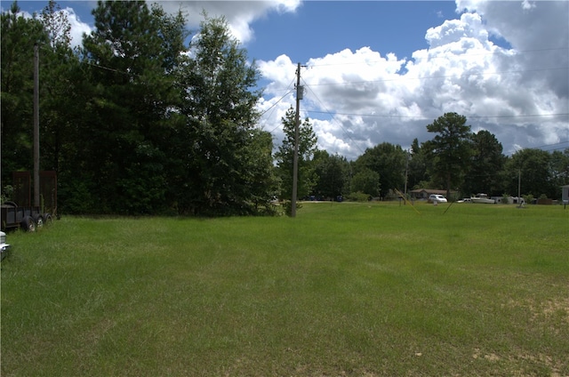 0 Lee Road 2007, Opelika, AL 36804 - photo 7