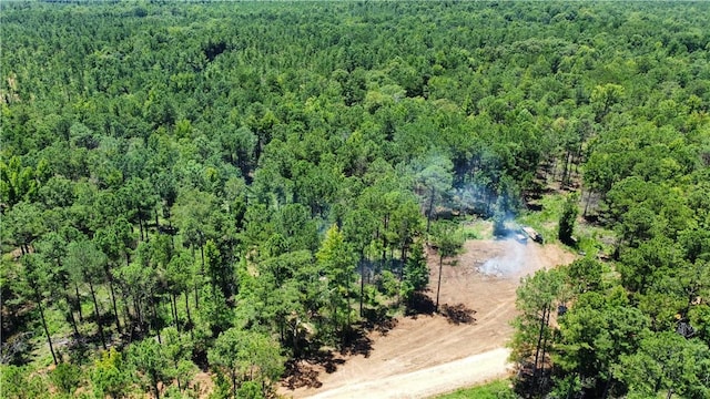 6 County Road 278, Salem AL, 36874 land for sale