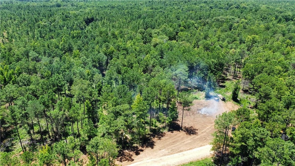 6 County Road 278, Salem, AL 36874 - photo 1