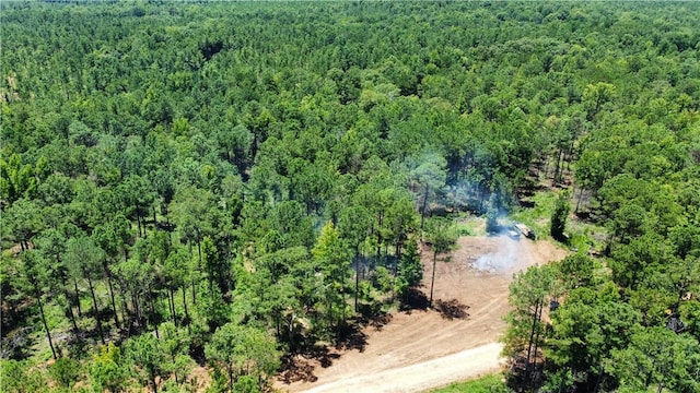 6 County Road 278, Salem, AL 36874 - photo 1