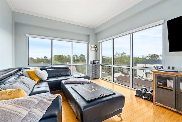 277 S Gay St Unit 601, Auburn, AL 36830 - living room with ornamental molding and light wood-style flooring