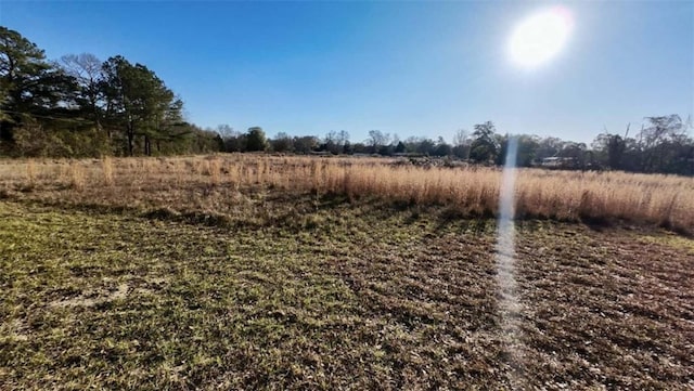 0 Ole Creek Rd, Pittsview AL, 36871 land for sale