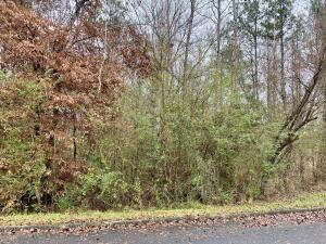 Listing photo 3 for LOT43 Althea Loop, Alexander City AL 35010