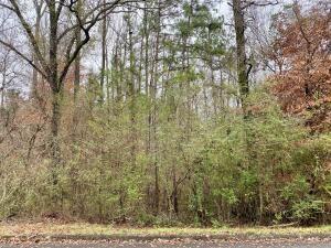 Listing photo 2 for LOT43 Althea Loop, Alexander City AL 35010