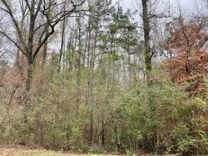 LOT43 Althea Loop, Alexander City AL, 35010 land for sale