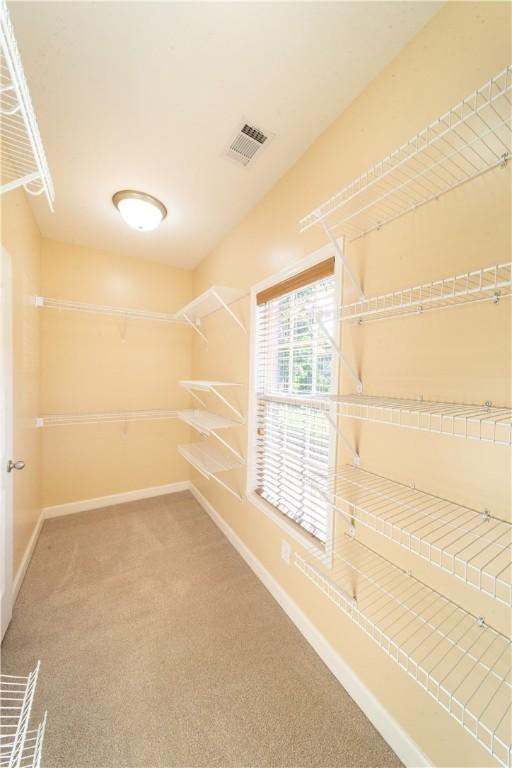 walk in closet with carpet