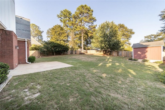 view of yard with a patio and a storage unit