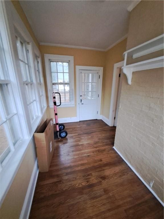 doorway with ornamental molding and dark wood-type flooring