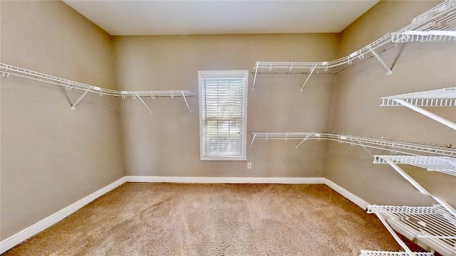3666 Hawks Lndg, Auburn, AL 36804 - walk in closet featuring carpet floors