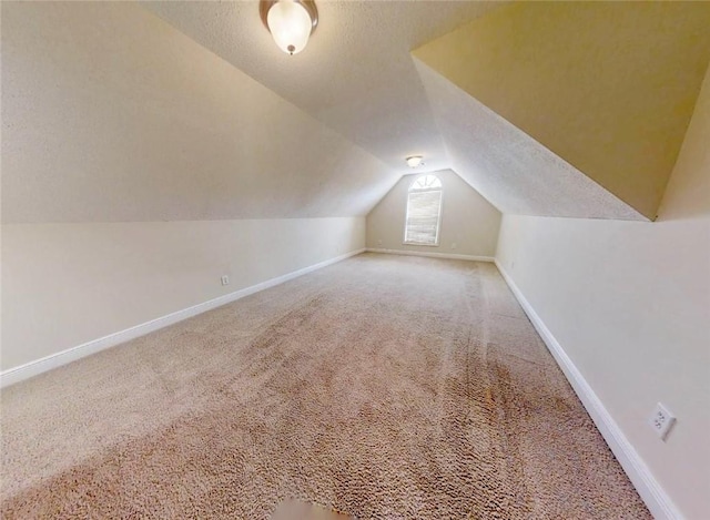3666 Hawks Lndg, Auburn, AL 36804 - additional living space with vaulted ceiling and carpet flooring