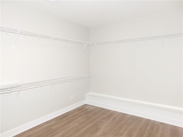 spacious closet with hardwood / wood-style floors