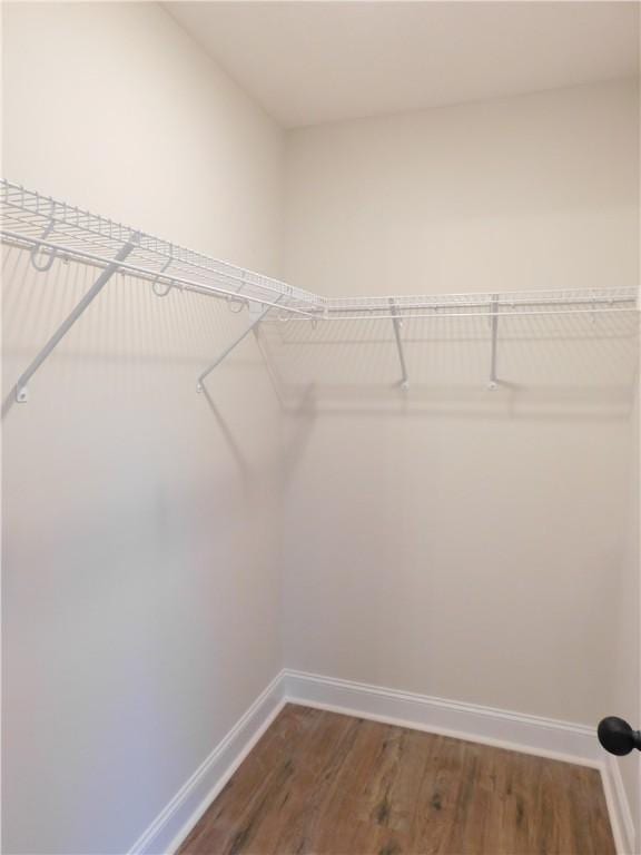 spacious closet with wood-type flooring