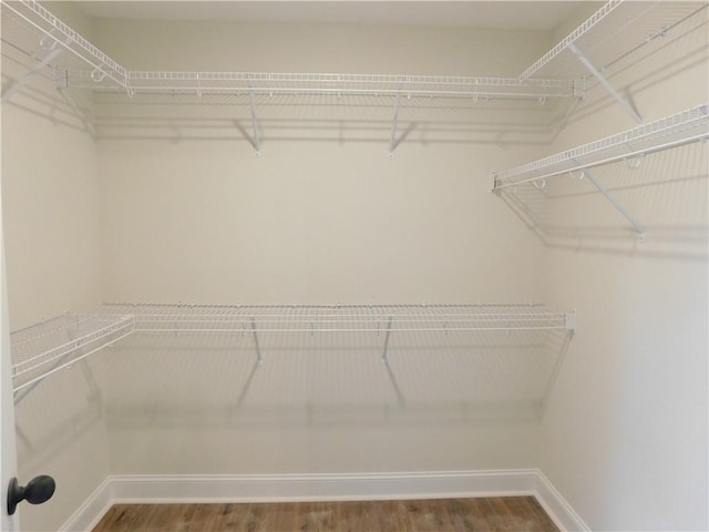 spacious closet with hardwood / wood-style floors